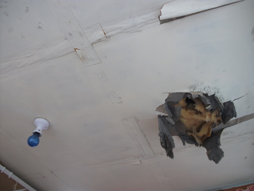 leaking flat roof