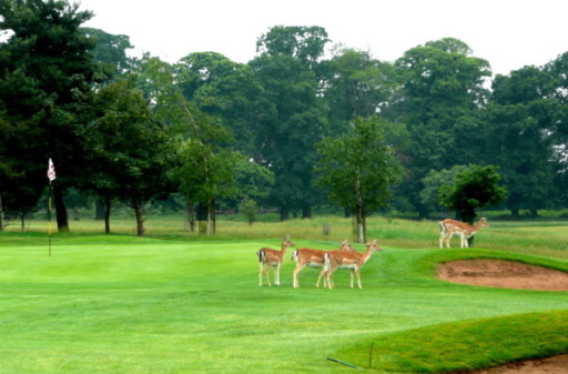 The Grantham Golf Shop @ Belton Park Golf Club