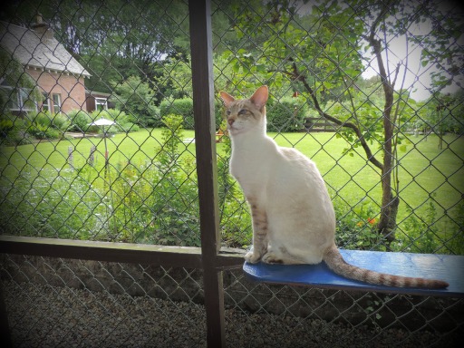 Tiggy taking in the air.