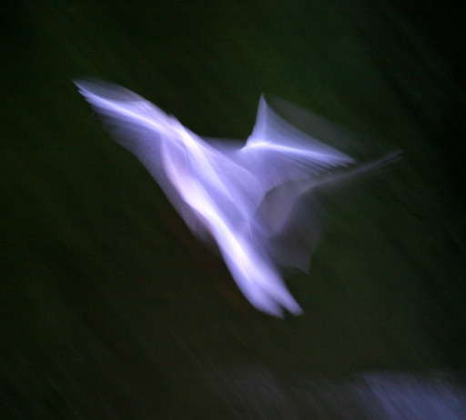 image0