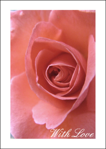 Anniversary Rose - With Love greeting card