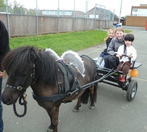 Pegasus Pony