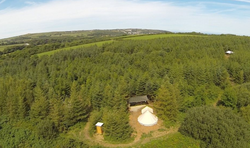 Woodland for sale