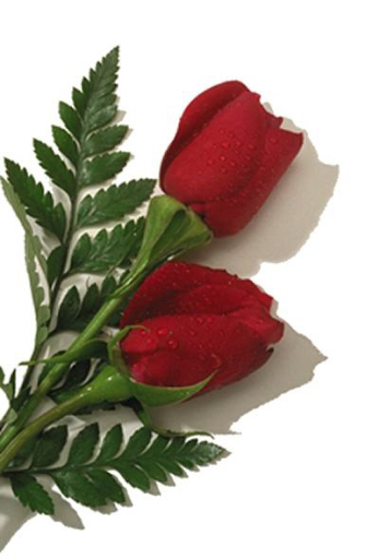 image0