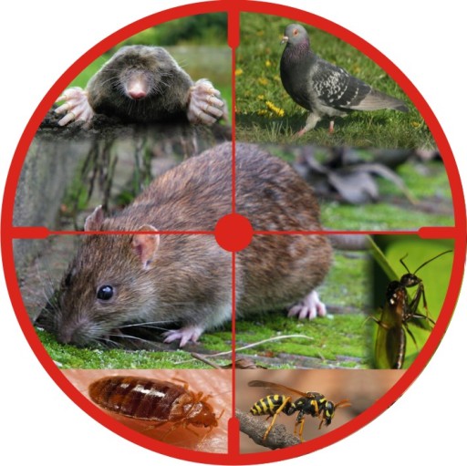 Pest control in Boston, Spalding, Skegness in Lincolnshire