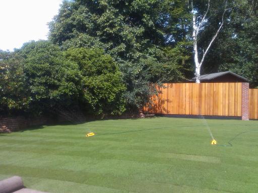 Freshly Laid Lawn