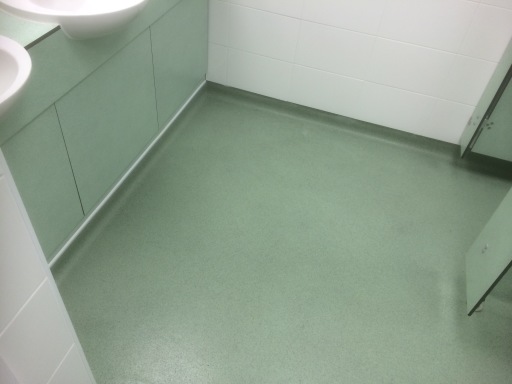 polysafe standard coved in toilet areas