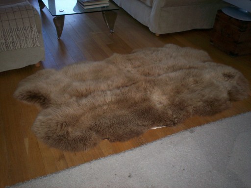 Langley Chase Quad rugs