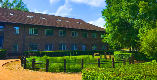 External