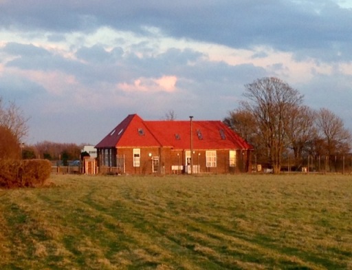 image1