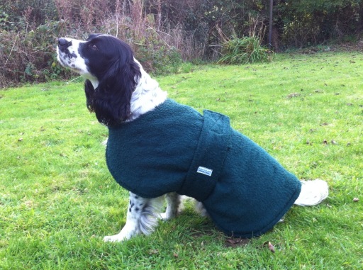 Towelling drying coats