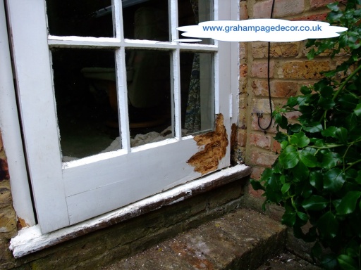 woodrot in door