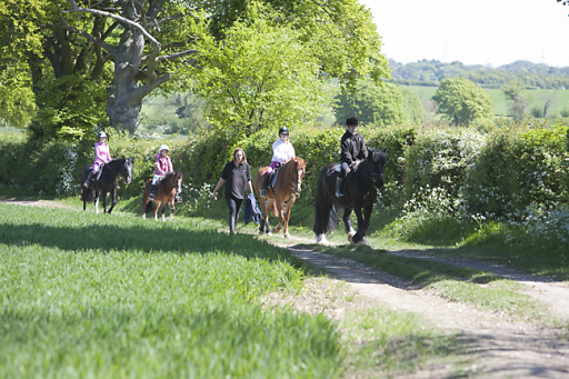 Horse riding at sunshine