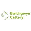 Bwlchgwyn Cattery