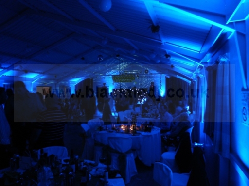 Wedding Uplighters