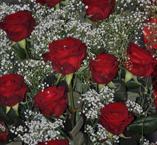 Roses - Flowers to go UK