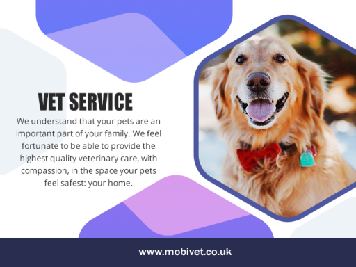 Vet Cardiff