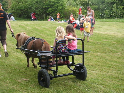 mini pony and trap