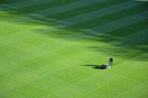 How to get the perfect lawn