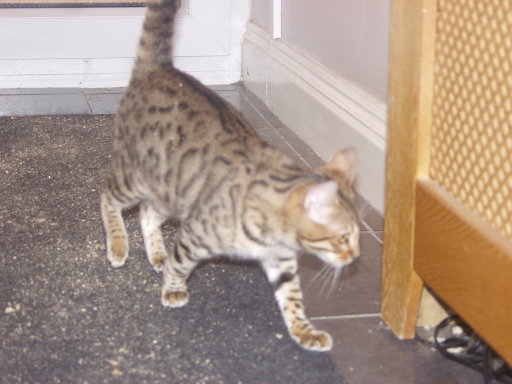 image1