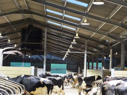 Agricultural High Bay LED lighting scheme