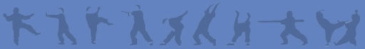 Lishi tai chi kung fu qi gung yoga exercise
