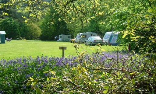 Dolaucothi Estate caravan site in springtime