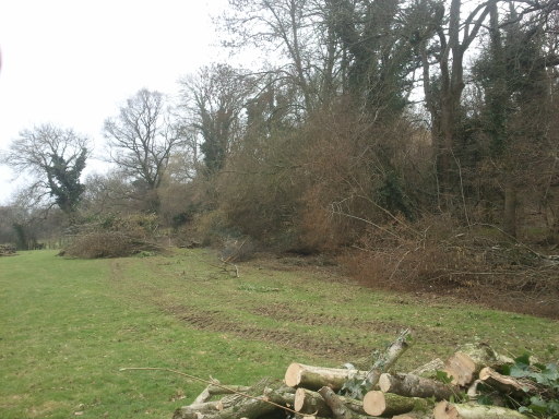a pic of us during a tree and brash clearence job which was needed to reclaim some land