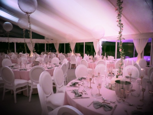 themed event and wedding designs