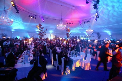 Wedding Reception