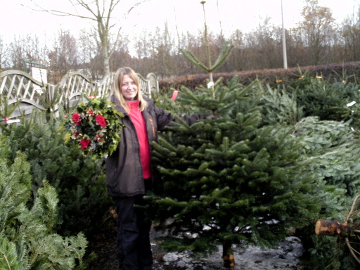 At Christmas we stock a range of real trees and holly wreaths which are hand-made on the premises.