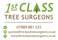 First Class Tree Surgeons