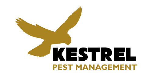 Kestrel Pest Management