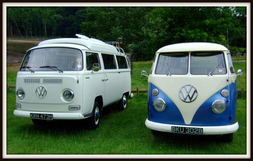 Monty and Margo our vw campervans