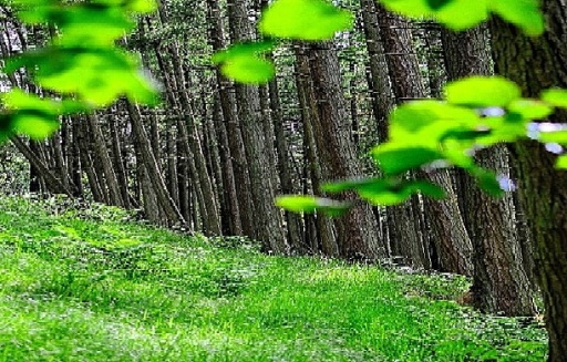 image0