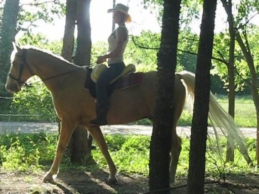 Sheepskin Bareback Riding pad