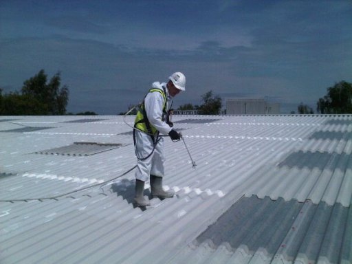 Steel Roof Coating/Rooflight Replacement