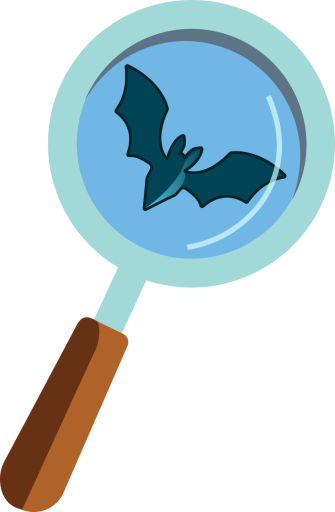 Bat Survey