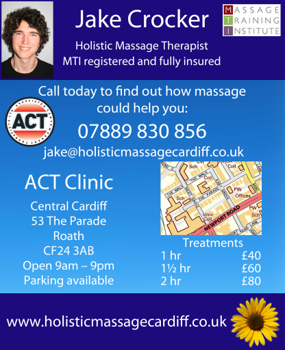 Holistic Massage in Cardiff - Stress Back Pain Insomnia Anxiety RSI Fatigue Tension Stiffness.