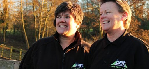 meet the team