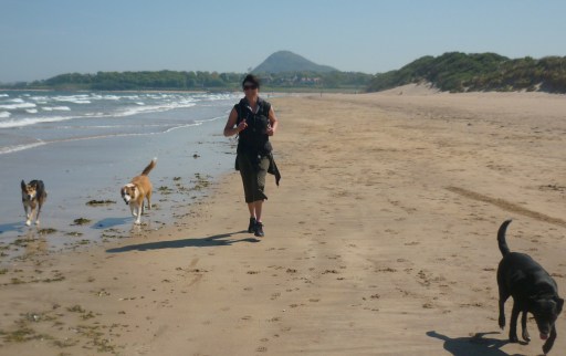 Yellowcraigs Run 2011