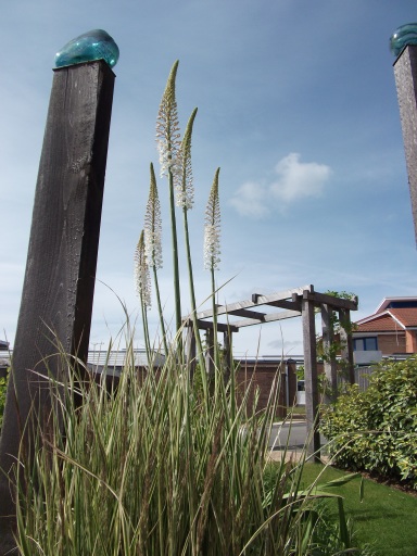 C.A.R. Gardens, Chemotherapy Garden, St Mary's Hospital, Newport