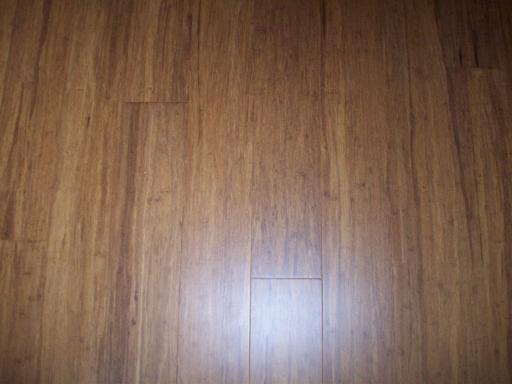 Bamboo