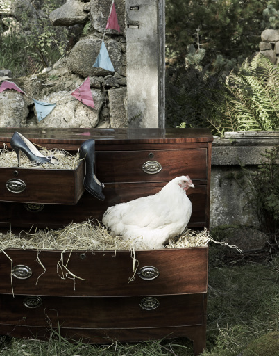 Invest in your nest.