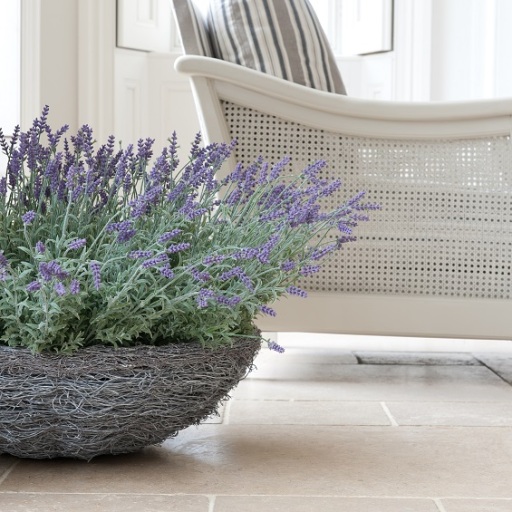 Lavender basket