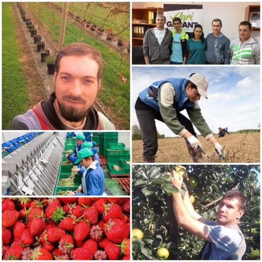 Romanian seasonal workers by Agrigarant