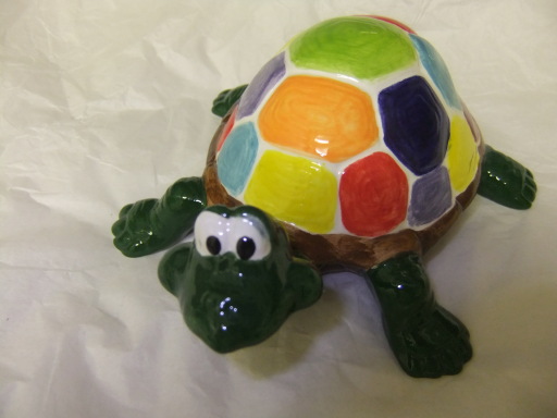 Paint a turtle