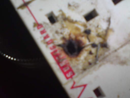A stray staple almost caused this surge protected extention lead to catch fire.