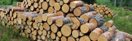 Stump Grinding