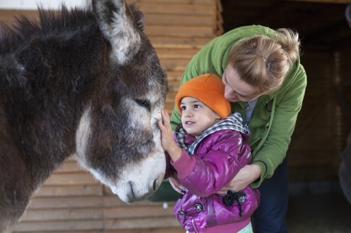 Animal Charity_Buxton